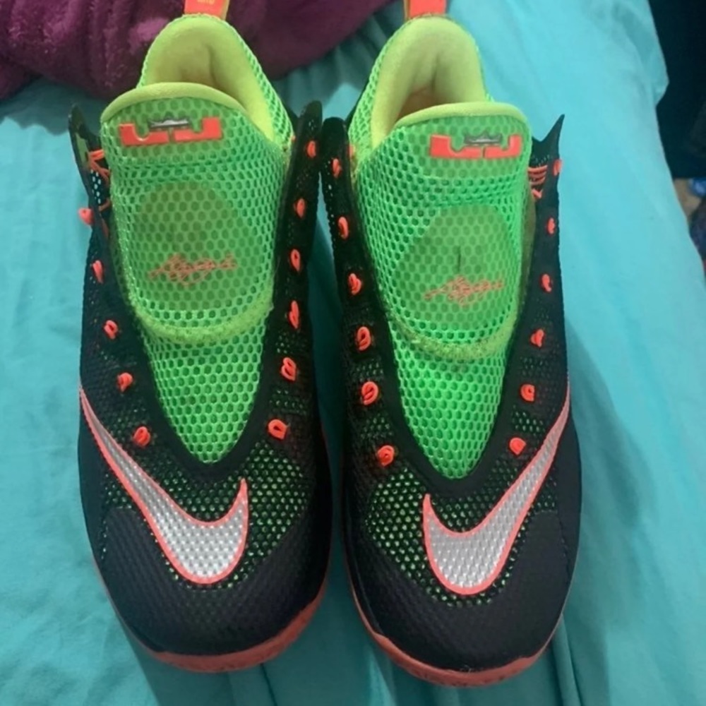 Lebron - Picture 2 of 6